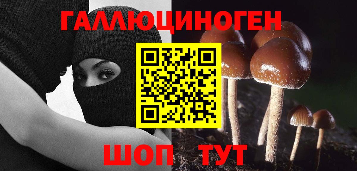 Псилоцибиновые грибы ЛСД  Псилоцибиновые грибы MAGIC MUSHROOMS  Вход с VPN  Заречный 