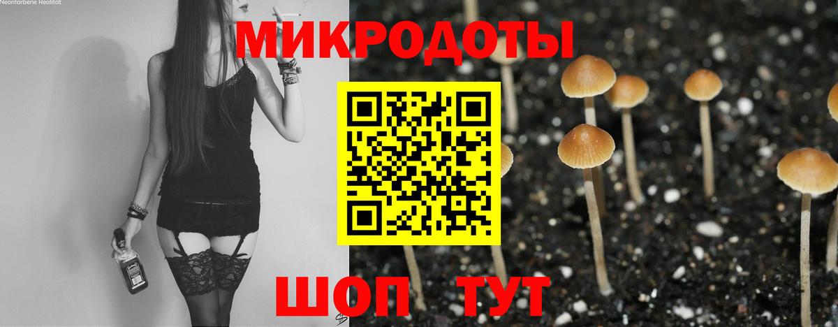 Галлюциногенные грибы мицелий Заречный