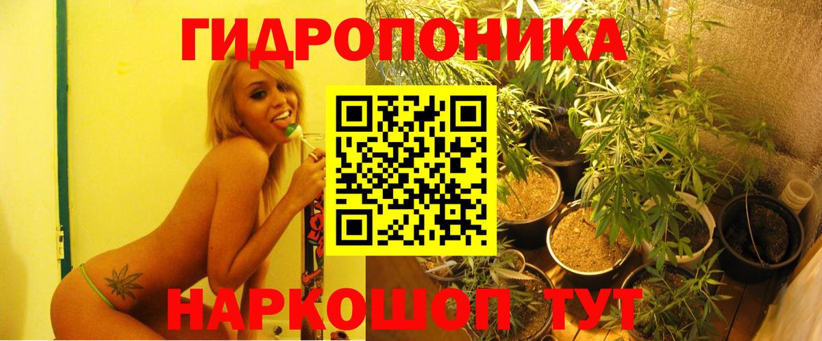 Конопля Amnesia Заречный